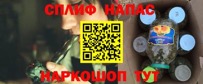 прущие грибы Будённовск