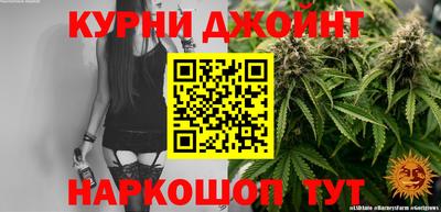 прущие грибы Будённовск