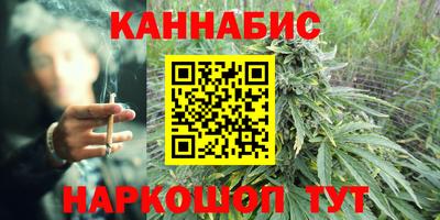 прущие грибы Будённовск