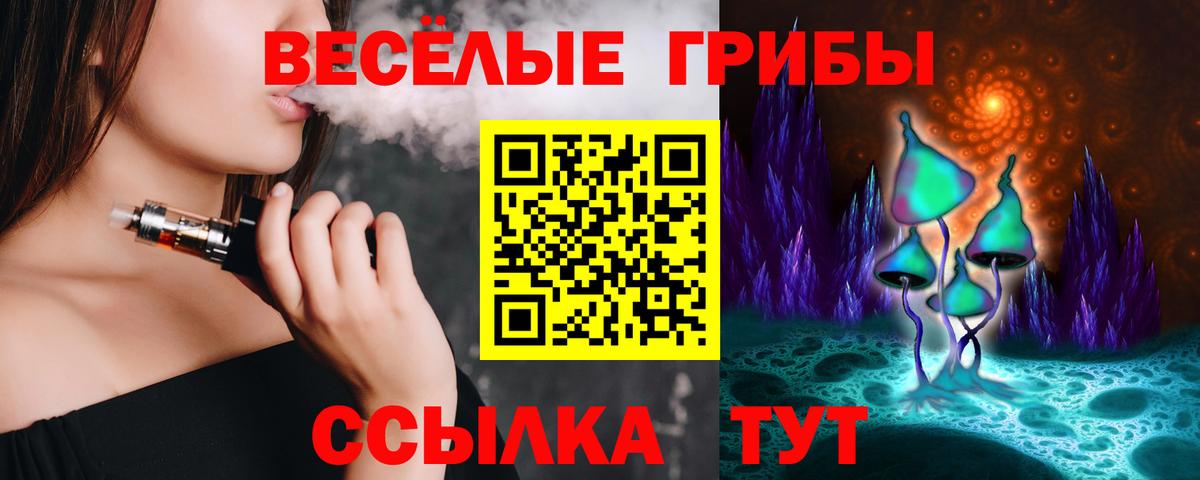 Псилоцибиновые грибы Psilocybe Минеральные Воды