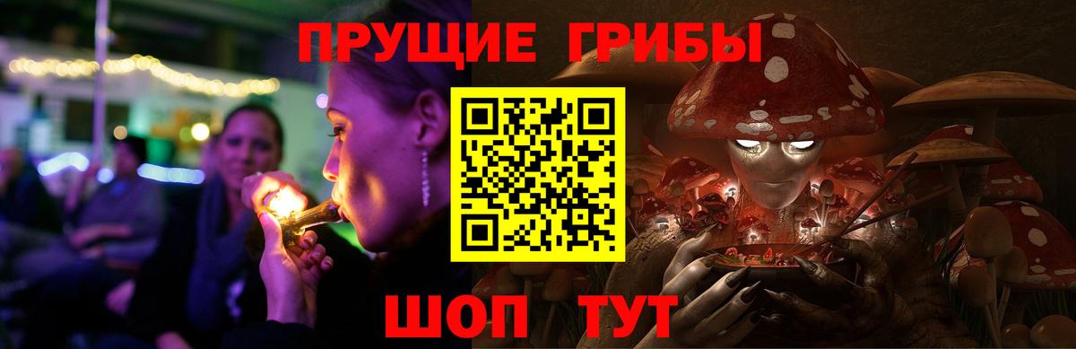 Псилоцибиновые грибы Cubensis  Вход с VPN  Галлюциногенные грибы мицелий  Минеральные Воды 